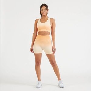 AYBL PULSE OMBRÉ SPORTS BRA AND SHORTS SET